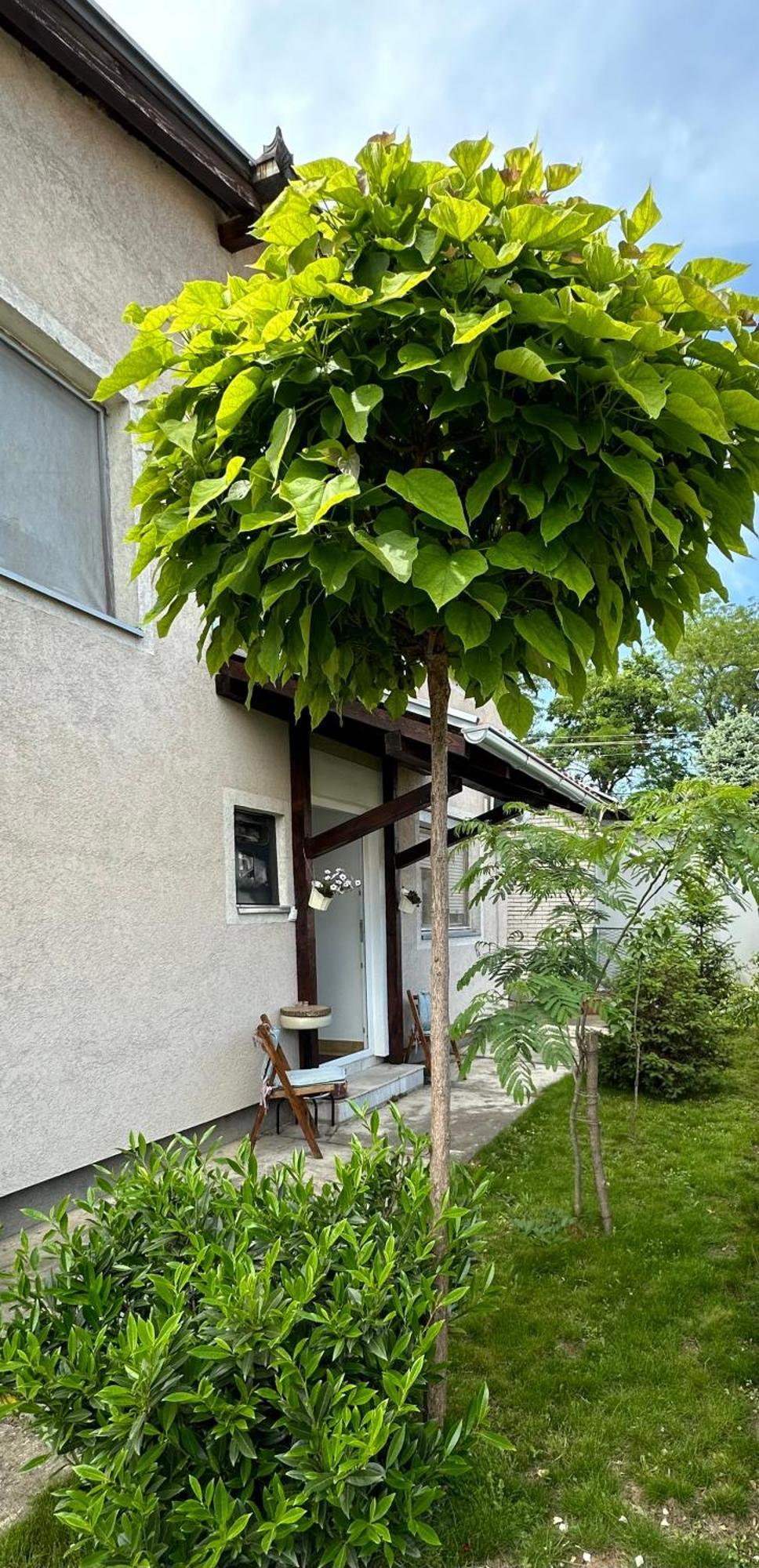 Day & Night Apartment Ćuprija Exterior foto